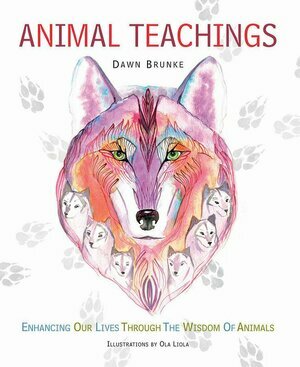 Animal teachings