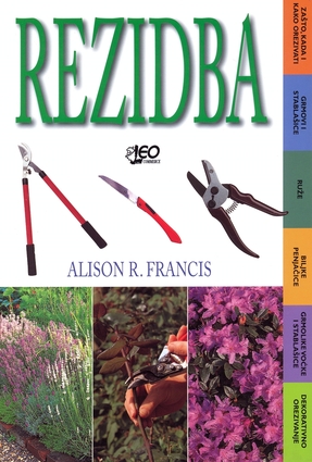 Rezidba