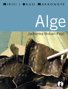 Alge