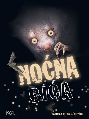 Nocna bica