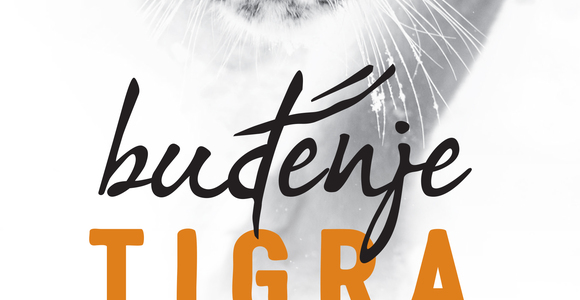 Budjenje tigra v