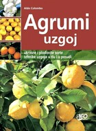 Agrumi uzgoj