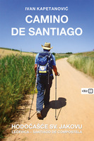 Camino de santiago