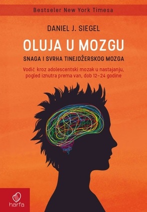 Oluja u mozgu