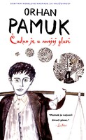 Cudno je u mojoj glavi
