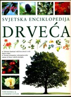 Drveca