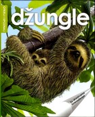 Dzungle