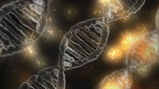 Telomeri dna
