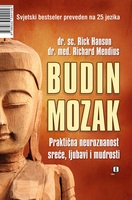Budin mozak