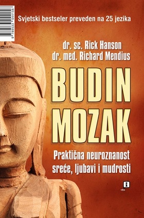 Budin mozak