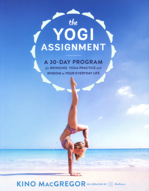 The yogi assigment (1)