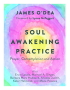 Soul awakening practice (1)
