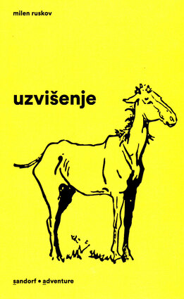 Uzvisenje