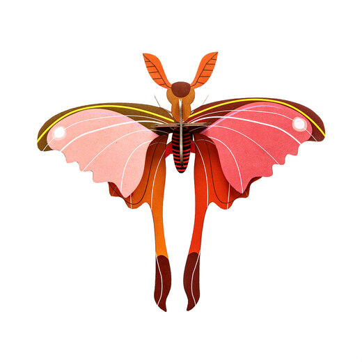 Dekor leptir pink comet