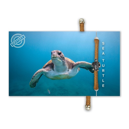 Eko narukvica bold sea tutle 1