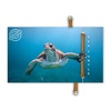 Eko narukvica bold sea tutle 1