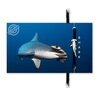 Eko narukvica bold hammerhead shark 1