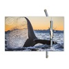 Eko narukvica bold whale 1