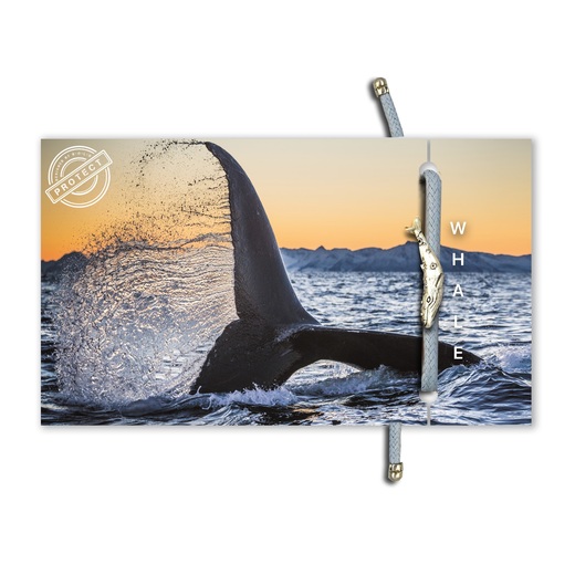 Eko narukvica bold whale 1