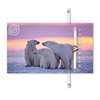 Eko narukvica bold polar bear 1