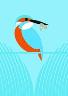 I  like birds