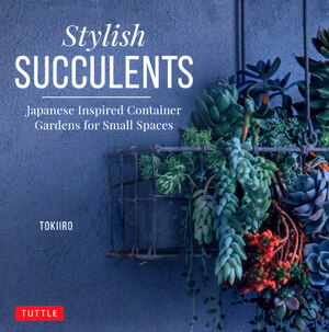 Stylish succulents
