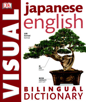 Japanese english