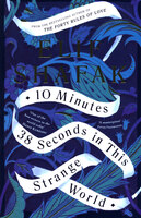 10 minutes 38 seconds