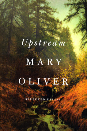 Upstream