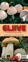 Gljive