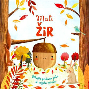 Mali zir