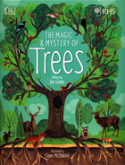 The magic and mystery of trees