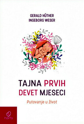 Tajna prvih devet mjeseci 2