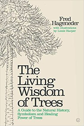 Living wisdom of trees