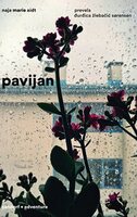 Pavijan