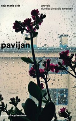 Pavijan