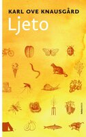 Ljeto