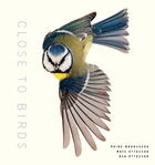 Close to birds