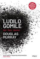 Ludilo gomile