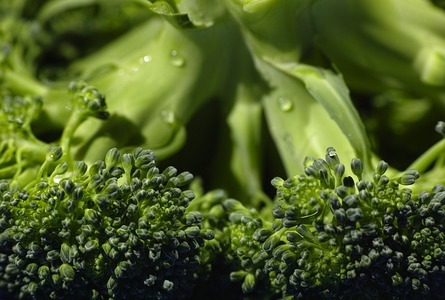 Broccoli 1792236 640