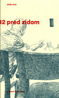 12 pred zidom