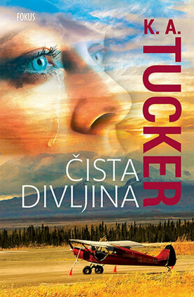 Cista d