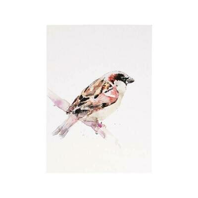 Razglednica sparrow