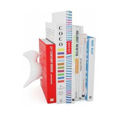 Drzac knjiga fisura ptica