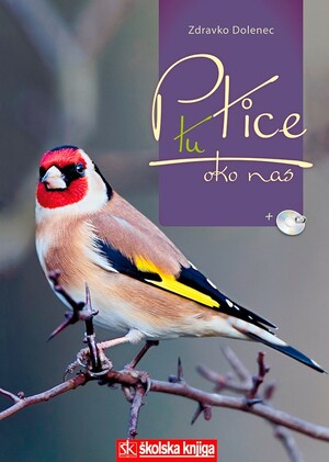 Ptie