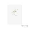 A5 flying spirit 2
