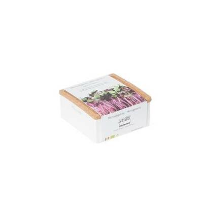 Garden box rotkvica