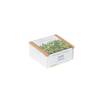 Grow box gorušica (1)