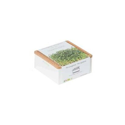 Garden box dragušac
