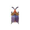 Zidni dekor queen beetle